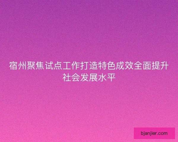 宿州聚焦试点工作打造特色成效全面提升社会发展水平